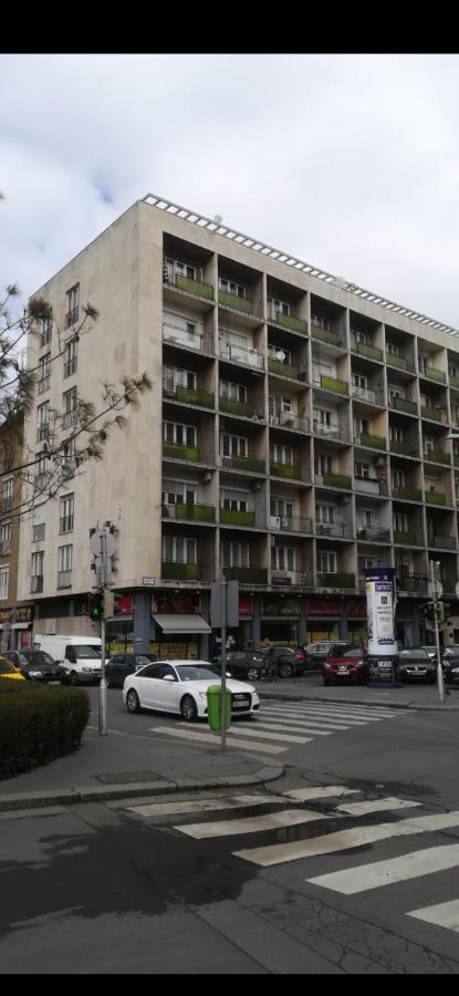 Budget One-Bedroom Apartment Garden view,1587556802:JPEG
