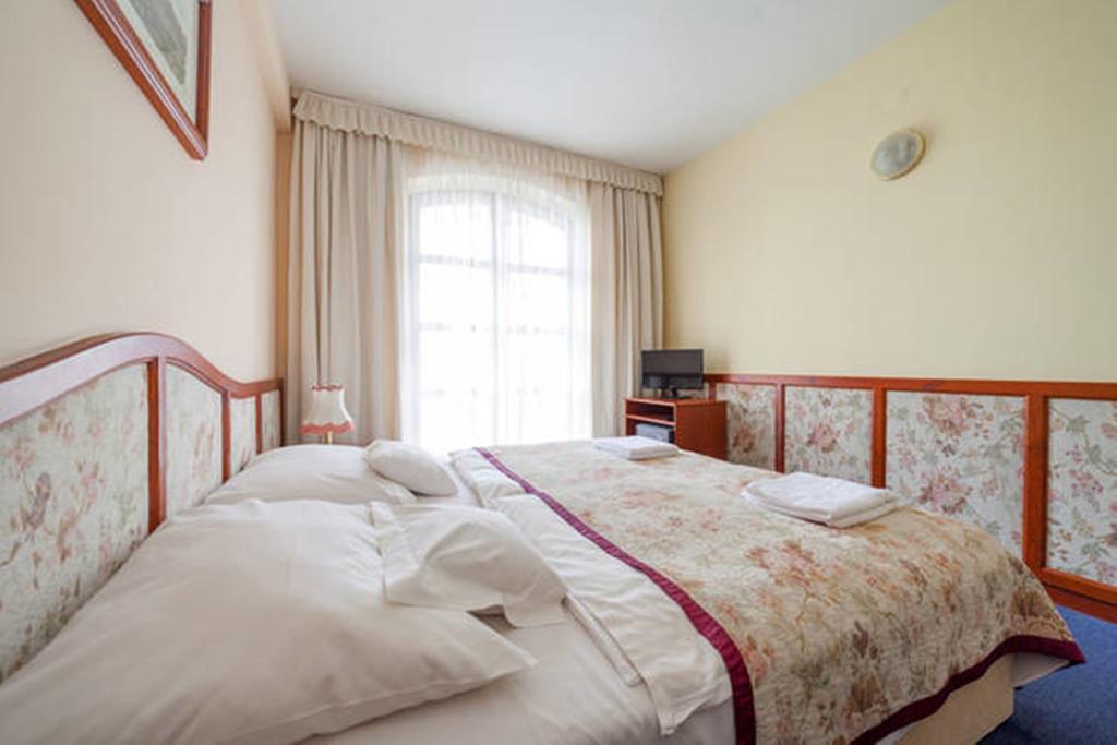 Double or Twin Room with Balcony and Mountain View