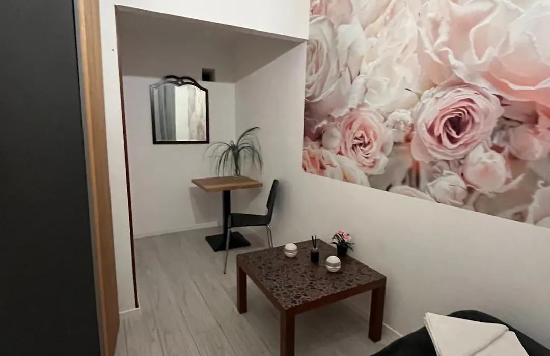 Spring Roses Downtown Boutique Apartment On The Famous Vaci Fashion Street Free Coffee, Tee-1