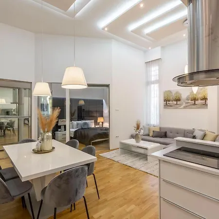 Luxurious & Spacious Downtown Residence In Liszt Ferenc Square-2