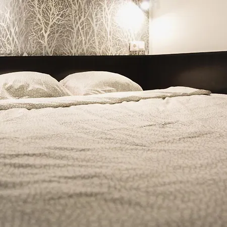 Cozy Dowtown Lofts-2