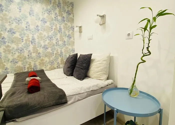 Downtown Mini Apartment
